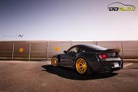 "German Beauty Meets Japanese Muscle"