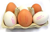 Eggshell ink, edible ink and two MEK-free ink-jet inks