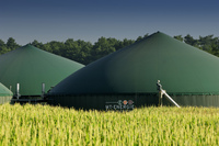 Ausgegorene Lösungen für Bio-Energiewirte