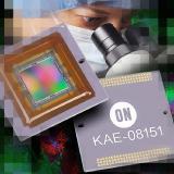 EMCCD-Sensor bringt hohe Bildqualität bei ungünstigen Lichtverhältnissen