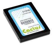 Für Military-Anwendungen: Cactus SSD-Speicher mit Verschlüsselung