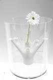 Innovative Werkstoffe für den 3D-Druck
