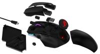 ASUS Republic of Gamers präsentiert die "Intelligent Evolution" auf der Gamescom 2019