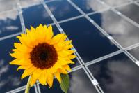 Baubeginn für Solarpark