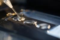 Projektgruppe "Personalisierte Tumortherapie" wird Institutsbereich am Fraunhofer ITEM