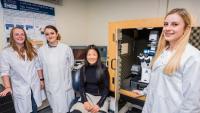 Untersuchung der Wechselwirkung zwischen Zellen und ihrer Umgebung mit dem JPK NanoWizard® Rasterkraftmikroskop und dem CellHesion® Modul an der Universität Glasgow