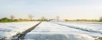 RKW HyJet Erntefolie nominiert für EDANA INDEX 20 Award