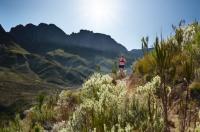 Ab in die Sonne: Neue Garmin-Smartwatches mit Solar-Technologie
