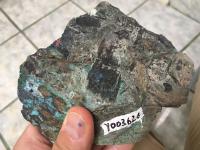 Aurania Develops New Copper-Silver Exploration Concept