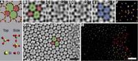 Beim Blick tief ins Glas den Atomen beim 'Tanzen' zugeschaut