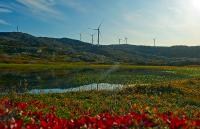 Saubere, grüne Suche für Google-Nutzer: Siemens Gamesa Windturbinen in Schweden versorgen Google-Rechenzentrum mit erneuerbarer Energie