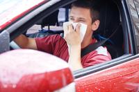 Pollenalarm im Auto - So überstehen Autofahrer die Allergiezeit