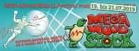 Handballfieber in Aschersleben 2019