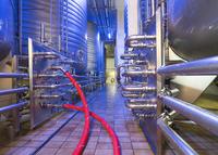 ContiTech's Purple Snake Ensures Safe and Hygienic Use in the Beverage Industry