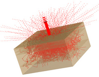 Lichtsimulation für biomedizinische Anwendungen: Laser 2000 präsentiert die neue Version der optisch-technischen 3D CAD Software-Serie FRED 6.x