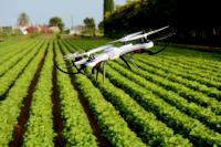 Bayer führt neue Digital-Farming-Marke xarvio™ ein