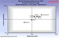 Mobility Consulting: Viel Licht, wenig Schatten