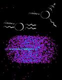 Atombillard mit Röntgenstrahlen: eine neue Methode, ins Innere der Moleküle zu blicken