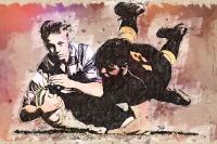 Rugby-Domains: Start im Juli