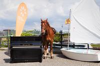 Mit Solar und Pellets mehr als ein Viertel der Energiekosten einsparen