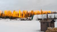 Treasury Metals und First Mining konsolidieren Goldprojekte in Ontario