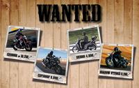 Honda Wanted Modelle 2014
