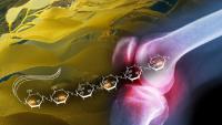 Mit Algen Arthritis behandeln