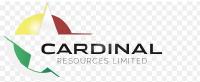 Cardinal Resources auf dem Weg zur Multi-Millionen-Unzen-Gold-Lagerstätte