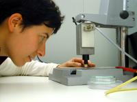 Plasma-Medizin: Eine Forschungskooperation sagt Hautkrankheiten den Kampf an