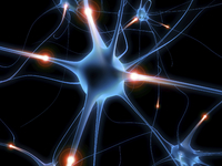 Ein Jahr erfolgreiche Neuro-Kommunikation - „neuro events“ wird offizielle Business-Unit