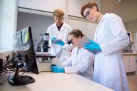 Neues Fernstudienangebot: Medizinische Biotechnologie (B. Sc.)