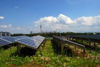 Gründach und Solar - Energetisch sinnvolle Ergänzung