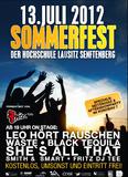 Fünftes Sommerfest der Hochschule Lausitz