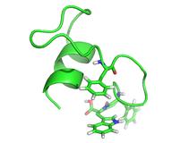 Kleine Proteine in Prokaryoten: Die Erforschung einer neuen Welt