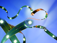 LEDLine Flex SMD High CRI / Die perfekte Lösung für Anwendungen in der Shopbeleuchtung