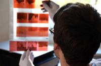 Negative und Dias digitalisieren mit ScanCorner