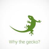 Der Gecko und wir