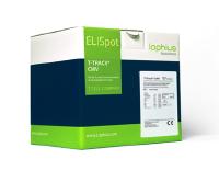 Launch of the Next Generation T-Track® CMV Immune Monitoring Tool
