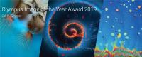 The Art of Science: Olympus startet ersten weltweiten "Image of the Year"-Award