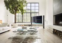 Loewe Design ausgezeichnet