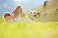 Zurück zu Naturprodukten auch bei Tiernahrung