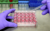 Umweltforschung: In vitro Untersuchung luftgetragener Schadstoffe mit humanen Lungenzellen in VITROCELL® Expositionsmodulen