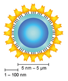 Mit Nano gegen Krebs