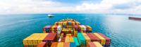 E-Commerce-Komplettlösung: Warenwirtschaft für den internationalen Online-Handel