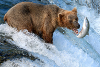 Epsilon Telecom: Reise-Incentive 2011 - Abenteuer Yukon