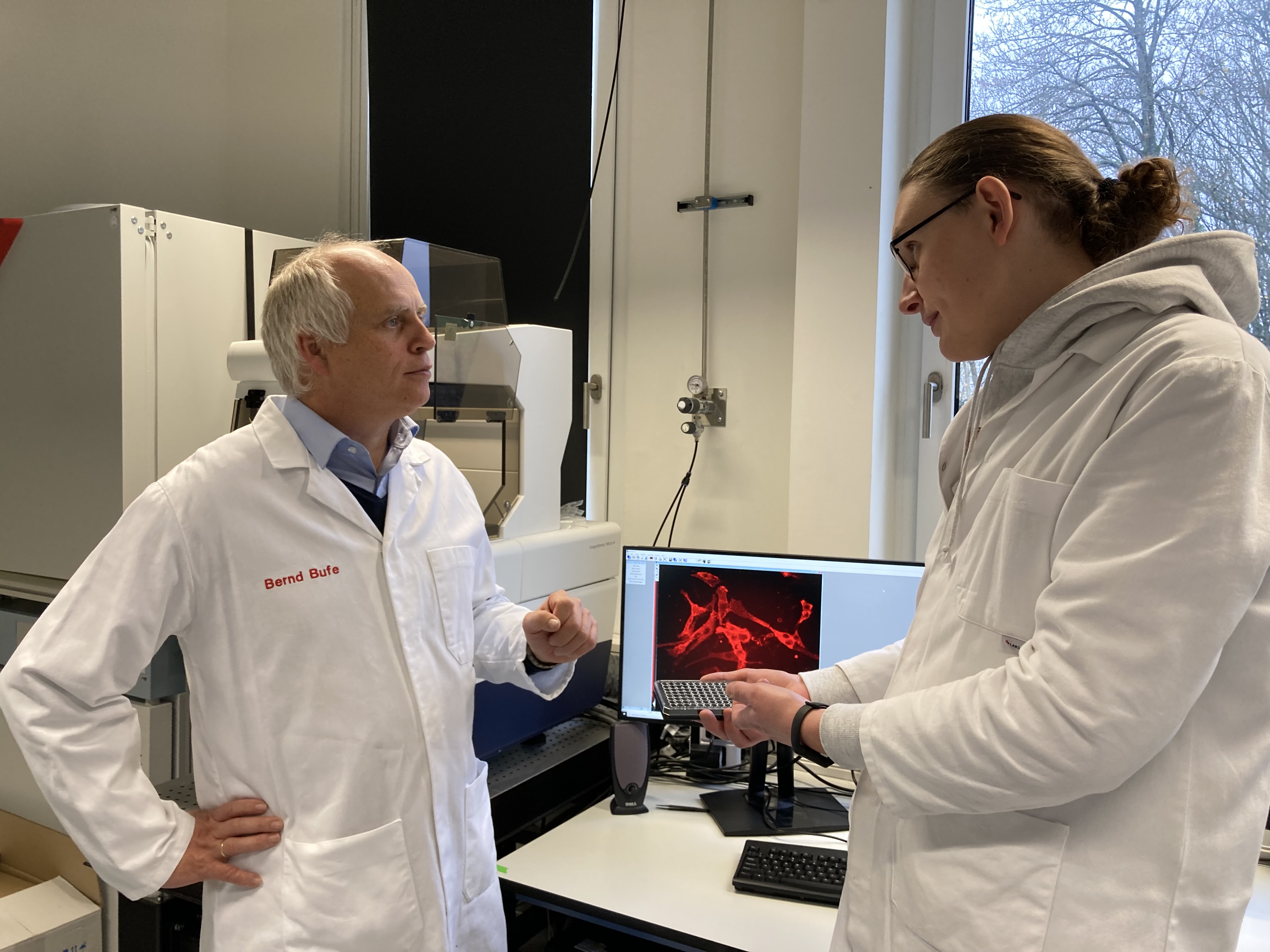 Investigadores de Zweibrücken descubren un nuevo mecanismo en la enfermedad de Alzheimer, Universidad de Ciencias Aplicadas de Kaiserslautern, comunicado de prensa