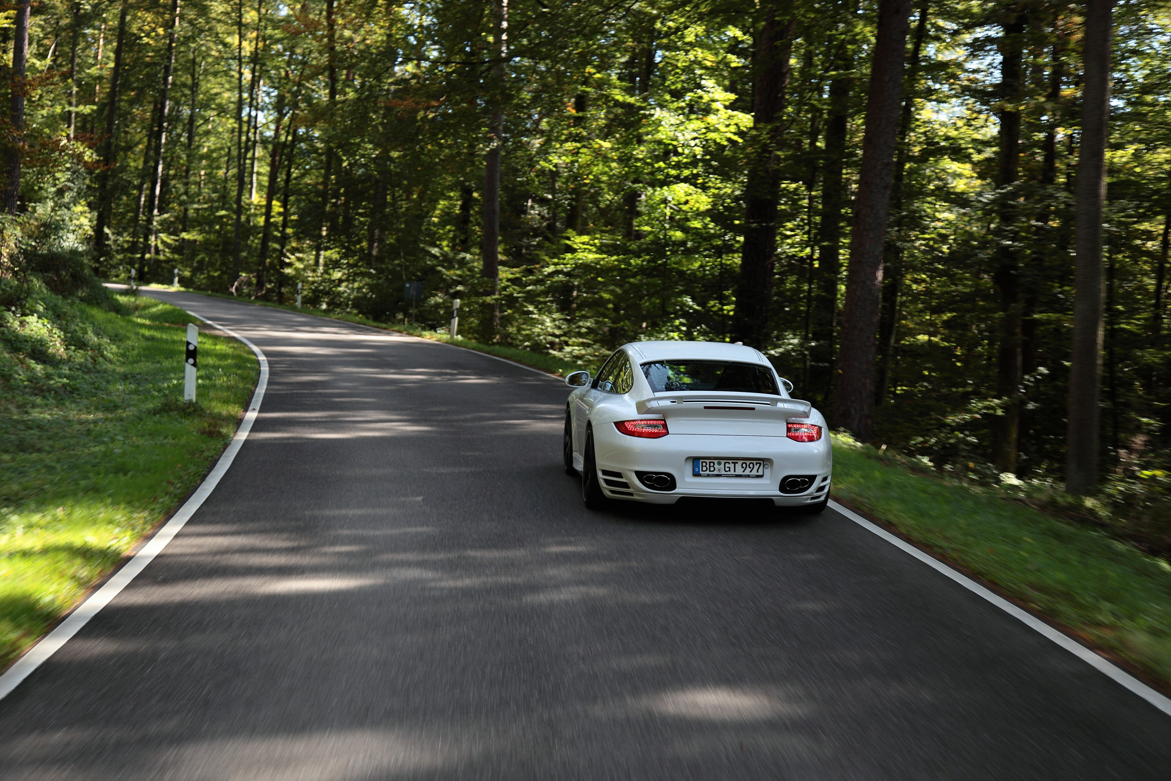 Road машина. Порше 911 в лесу. Porsche 911 TECHART. Porsche 911, TECHART, лес. Машина на дороге.