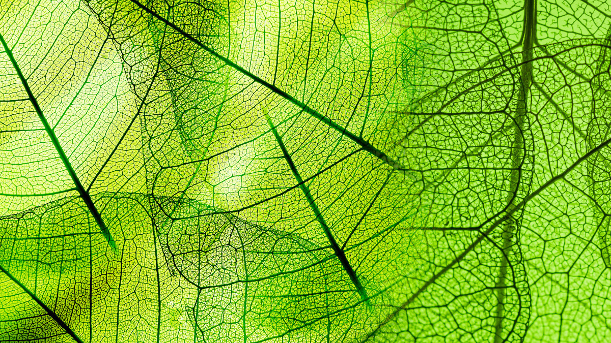 Green Actions at Busch Productions Worldwide, Busch Vacuum Solutions