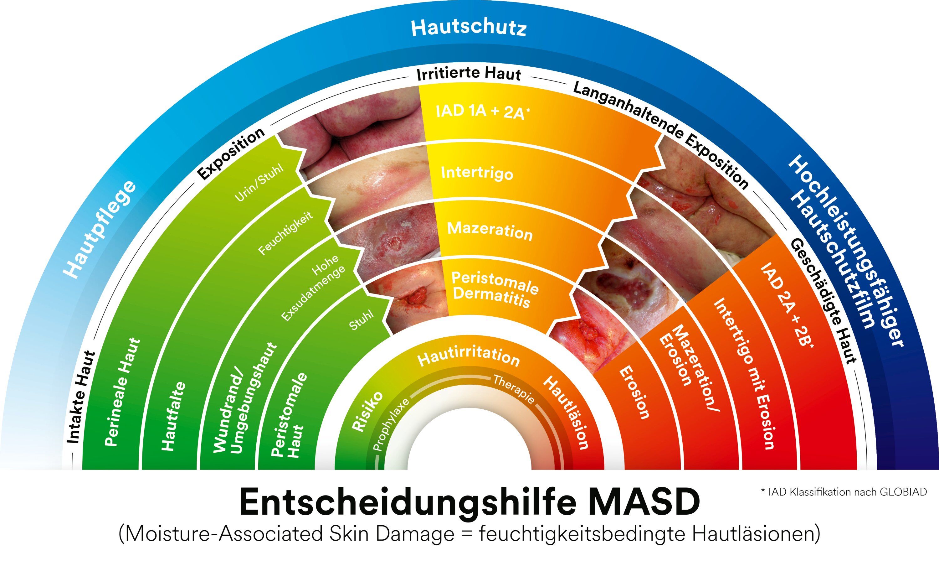 Ausgezeichnete Entscheidungshilfe, 3M Deutschland GmbH, Story - PresseBox