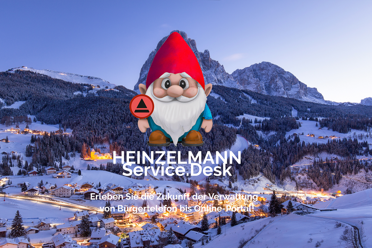 Digitalisierung der öffentlichen Verwaltung: Der HEINZELMANN Service ...